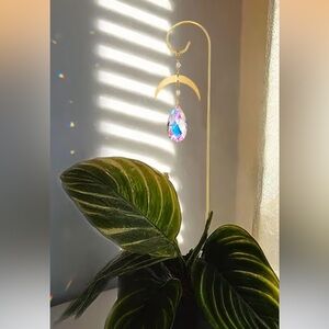 Crescent Moon Crystal Sun Catcher for Plants ☀️🪴☀️